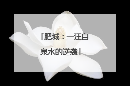 肥城：一汪自泉水的逆袭