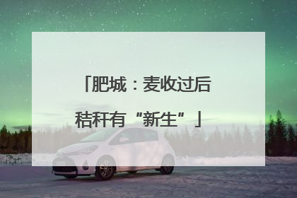 肥城：麦收过后秸秆有“新生”