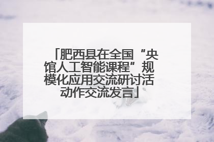 肥西县在全国“央馆人工智能课程”规模化应用交流研讨活动作交流发言