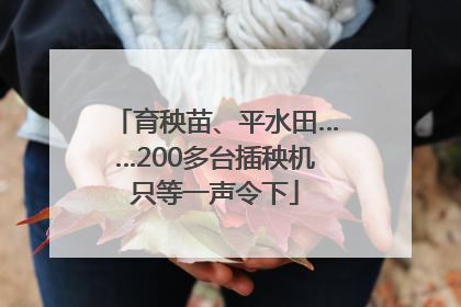 育秧苗、平水田……200多台插秧机只等一声令下