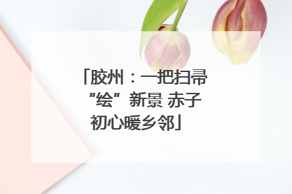 胶州：一把扫帚“绘”新景 赤子初心暖乡邻