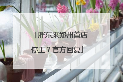 胖东来郑州首店停工？官方回复