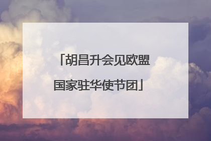 胡昌升会见欧盟国家驻华使节团
