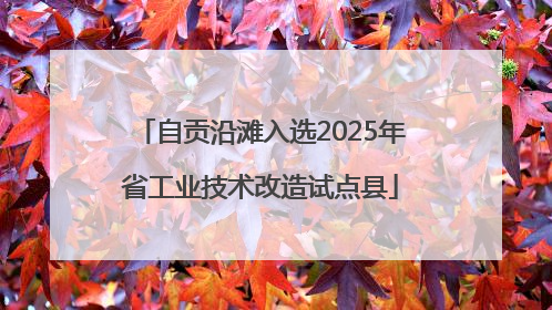 自贡沿滩入选2025年省工业技术改造试点县