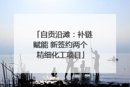 自贡沿滩：补链赋能 新签约两个精细化工项目