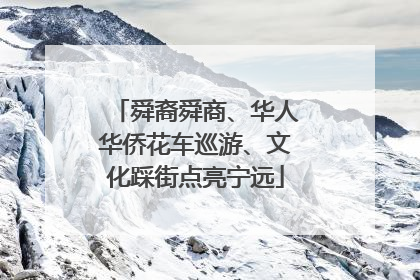 舜裔舜商、华人华侨花车巡游、文化踩街点亮宁远