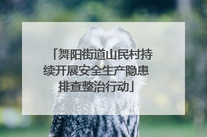 舞阳街道山民村持续开展安全生产隐患排查整治行动