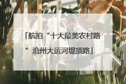 航拍“十大最美农村路”沧州大运河堤顶路
