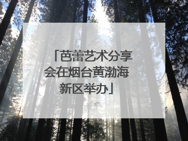 芭蕾艺术分享会在烟台黄渤海新区举办