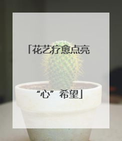 花艺疗愈点亮“心”希望