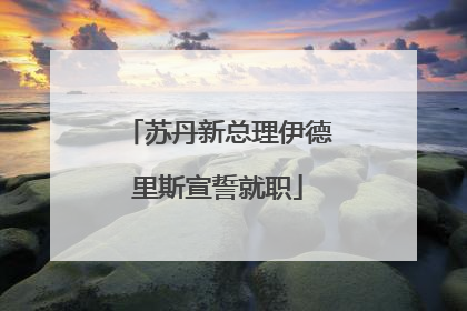 苏丹新总理伊德里斯宣誓就职