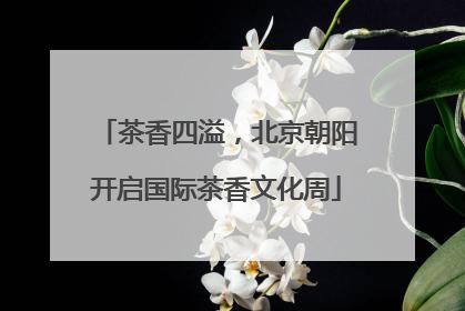 茶香四溢，北京朝阳开启国际茶香文化周