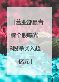 营业部最青睐个股曝光 3股净买入超亿元