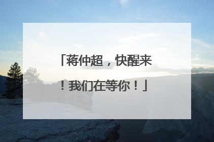 蒋仲超，快醒来！我们在等你！