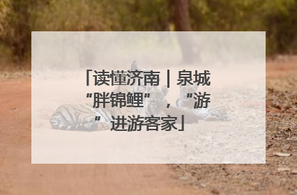 读懂济南｜泉城“胖锦鲤”，“游”进游客家