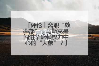评论丨离职“效率部”，马斯克是闯进华盛顿权力中心的“大象”？