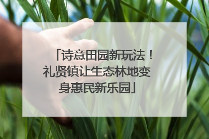 诗意田园新玩法！礼贤镇让生态林地变身惠民新乐园