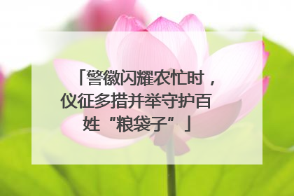 警徽闪耀农忙时，仪征多措并举守护百姓“粮袋子”