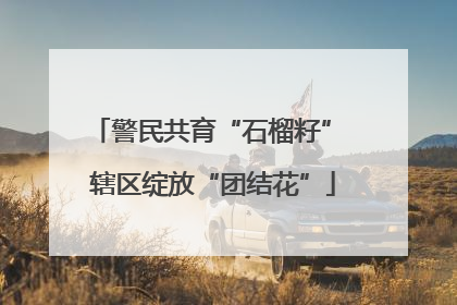 警民共育“石榴籽” 辖区绽放“团结花”