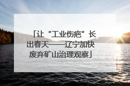 让“工业伤疤”长出春天——辽宁加快废弃矿山治理观察