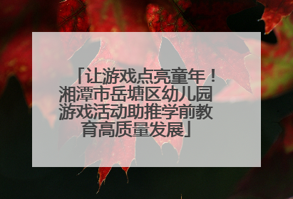 让游戏点亮童年！湘潭市岳塘区幼儿园游戏活动助推学前教育高质量发展