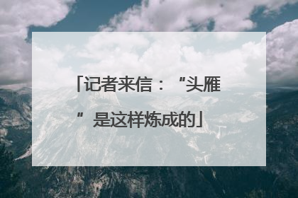 记者来信：“头雁”是这样炼成的