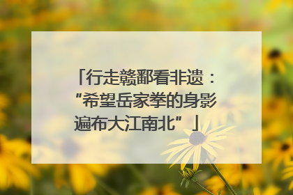 行走赣鄱看非遗：“希望岳家拳的身影遍布大江南北”