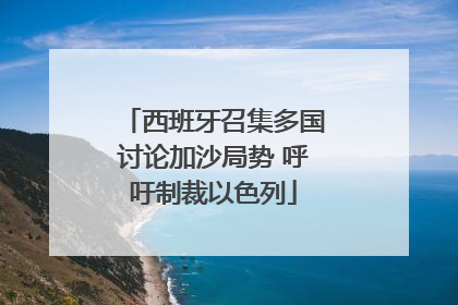 西班牙召集多国讨论加沙局势 呼吁制裁以色列