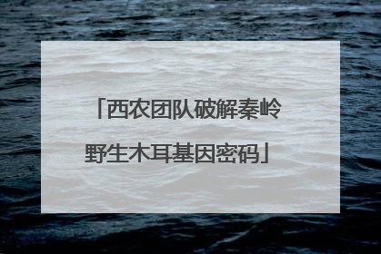 西农团队破解秦岭野生木耳基因密码