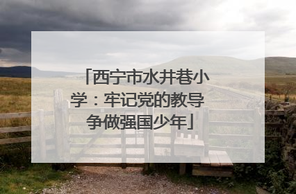 西宁市水井巷小学：牢记党的教导 争做强国少年