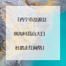 西宁市湟源县前沟村高山大白杜鹃走红网络