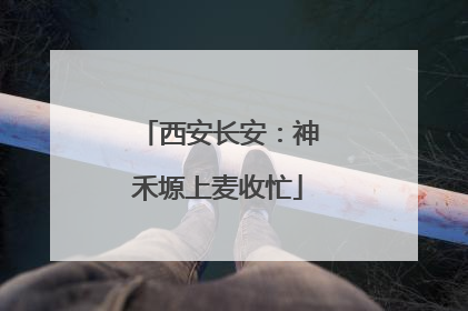 西安长安：神禾塬上麦收忙
