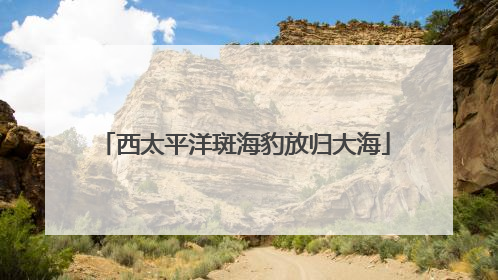 西太平洋斑海豹放归大海