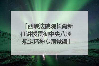 西峡法院院长肖新征讲授贯彻中央八项规定精神专题党课