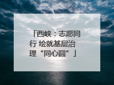 西峡：志愿同行 绘就基层治理“同心圆”