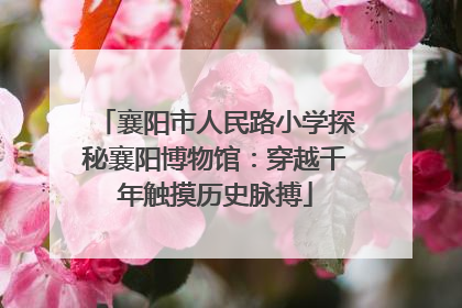 襄阳市人民路小学探秘襄阳博物馆：穿越千年触摸历史脉搏