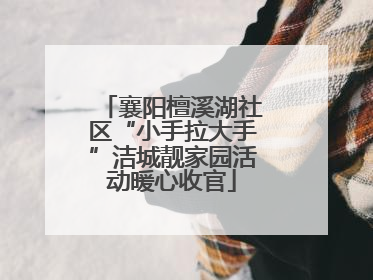 襄阳檀溪湖社区“小手拉大手”洁城靓家园活动暖心收官