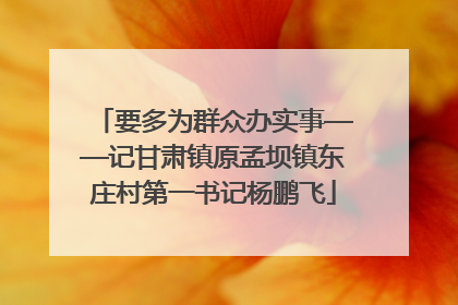 要多为群众办实事——记甘肃镇原孟坝镇东庄村第一书记杨鹏飞