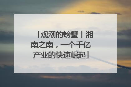 观潮的螃蟹丨湘南之南，一个千亿产业的快速崛起