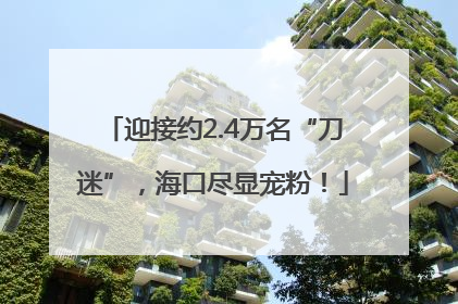 迎接约2.4万名“刀迷”，海口尽显宠粉！