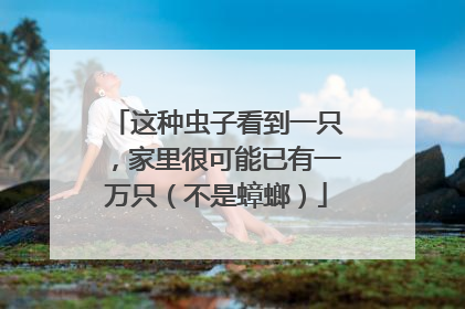 这种虫子看到一只，家里很可能已有一万只（不是蟑螂）