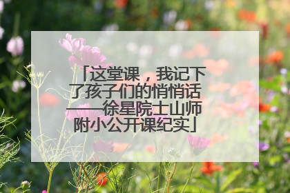 这堂课，我记下了孩子们的悄悄话——徐星院士山师附小公开课纪实