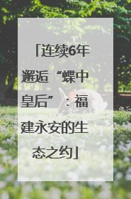 连续6年邂逅“蝶中皇后”：福建永安的生态之约