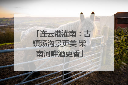连云港灌南：古镇汤沟景更美 柴南河畔酒更香