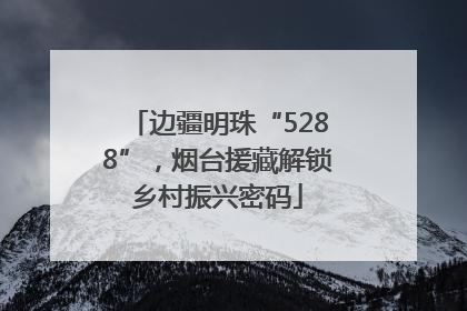 边疆明珠“5288”，烟台援藏解锁乡村振兴密码