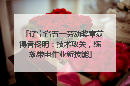 辽宁省五一劳动奖章获得者佟明：技术攻关，练就带电作业新技能