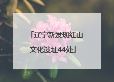 辽宁新发现红山文化遗址44处