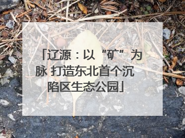 辽源：以“矿”为脉 打造东北首个沉陷区生态公园