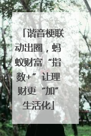 谐音梗联动出圈，蚂蚁财富“指数+”让理财更“加”生活化