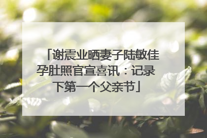 谢震业晒妻子陆敏佳孕肚照官宣喜讯：记录下第一个父亲节